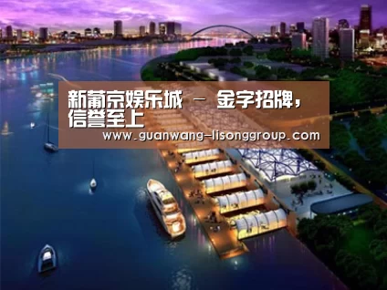 案例展示八