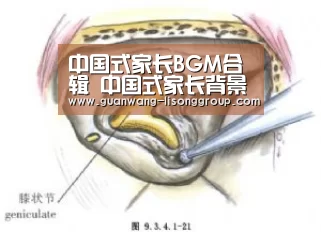 新葡京