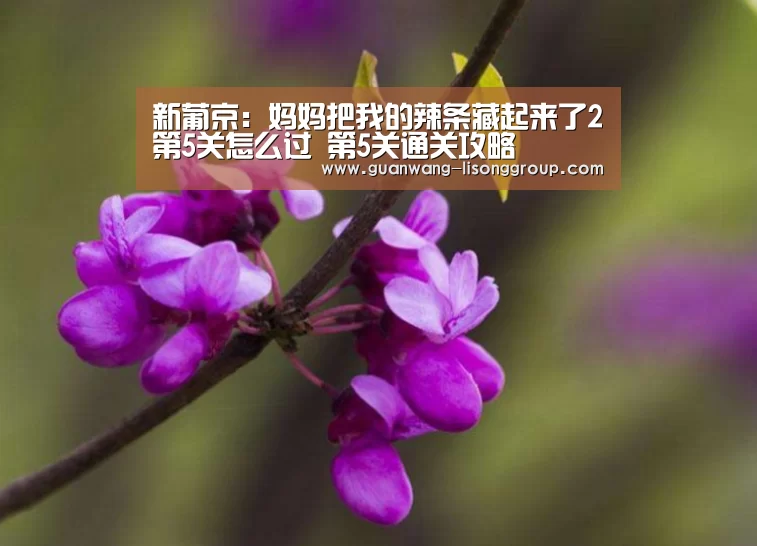新葡京:妈妈把我的辣条藏起来了2第5关怎么过 第5关通关攻略(图4) 新葡京